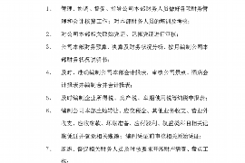 宝鸡为什么选择专业追讨公司来处理您的债务纠纷？